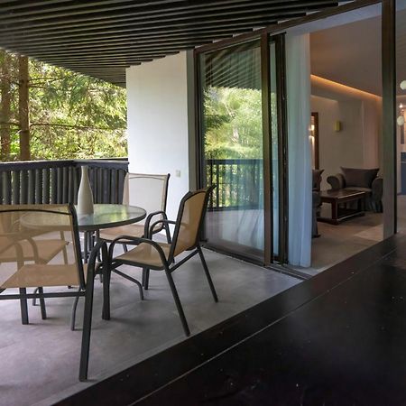 Poiana Brasov Alpin Executive Apartment Εξωτερικό φωτογραφία